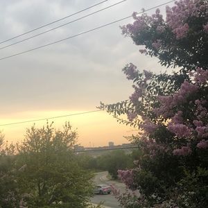 Meet your Posher, Isaura